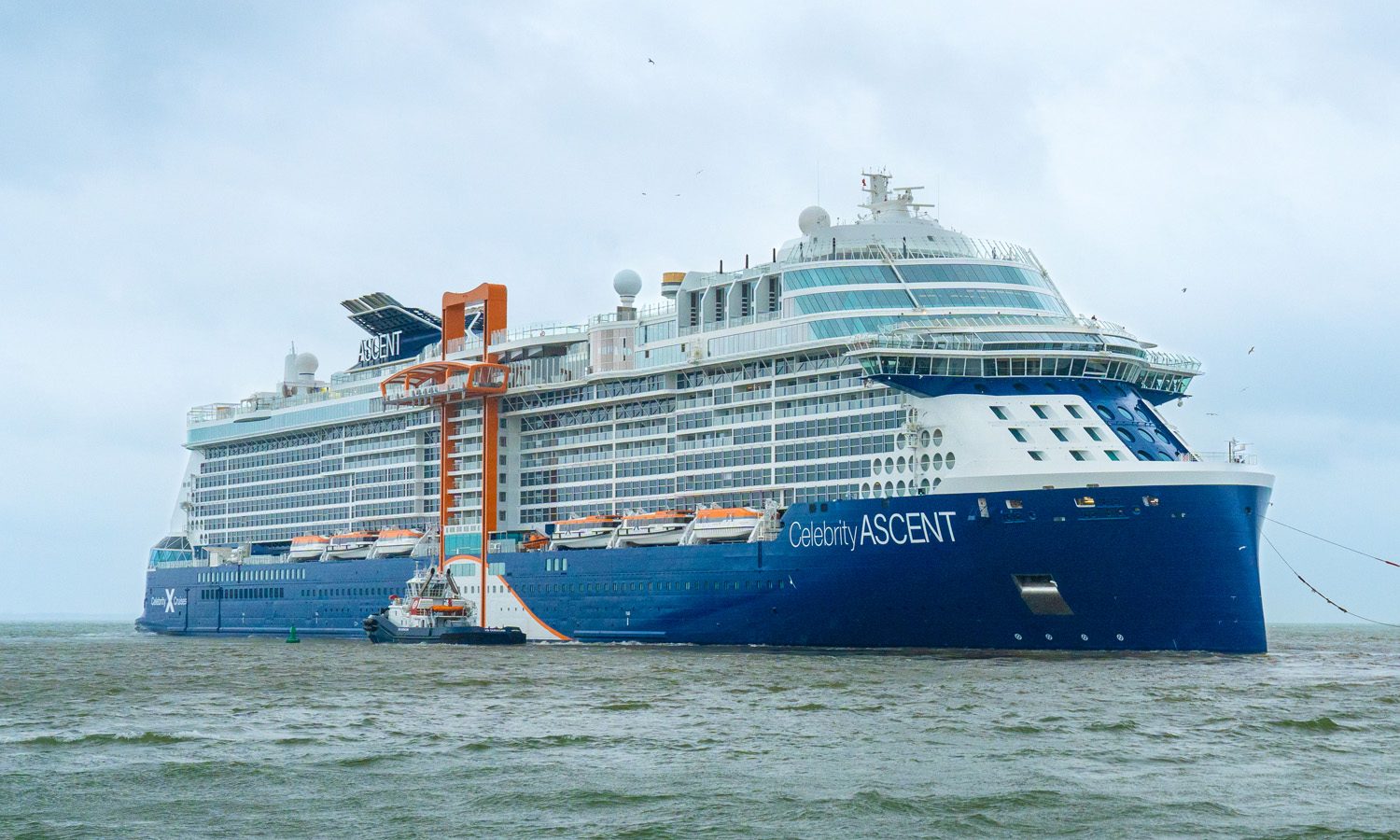 Celebrity Ascent — celebrity cruises