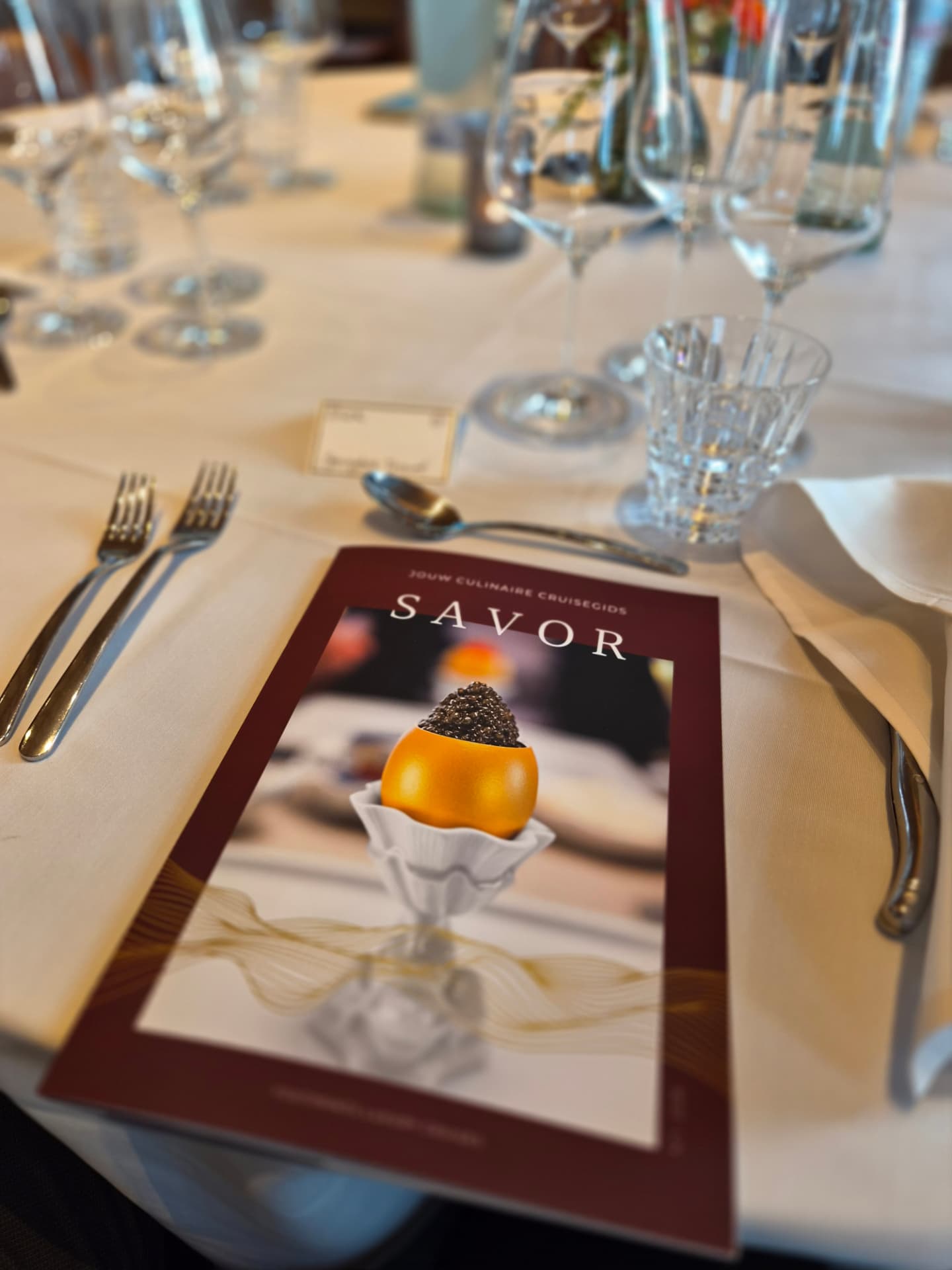 Savor culinaire cruisegids van Jan Van Durme