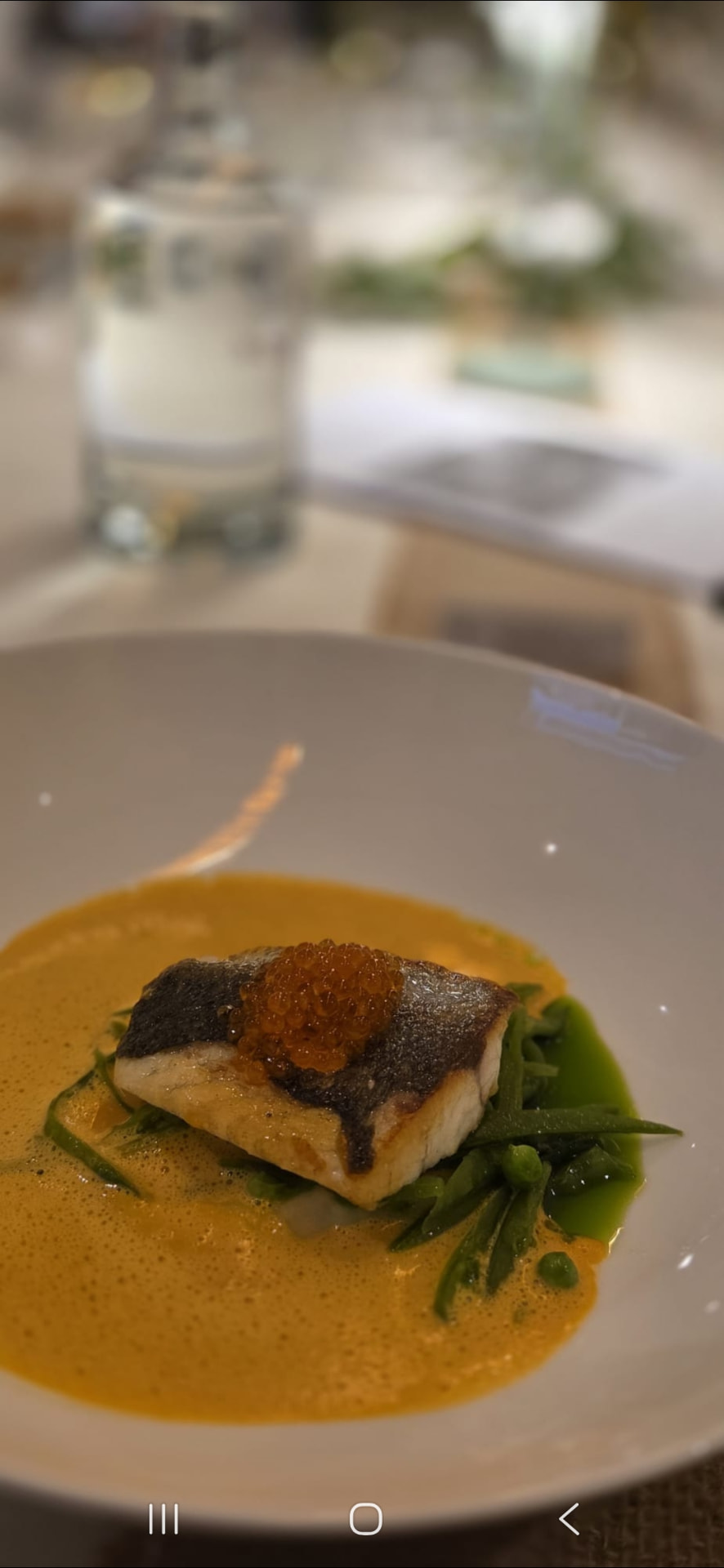 Voorgerecht: gegrilde zeebaars