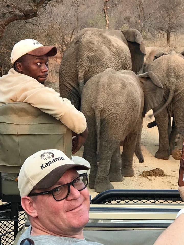 Olifanten vlak naast het safarivoertuig in een Zuid-Afrikaans privéreservaat