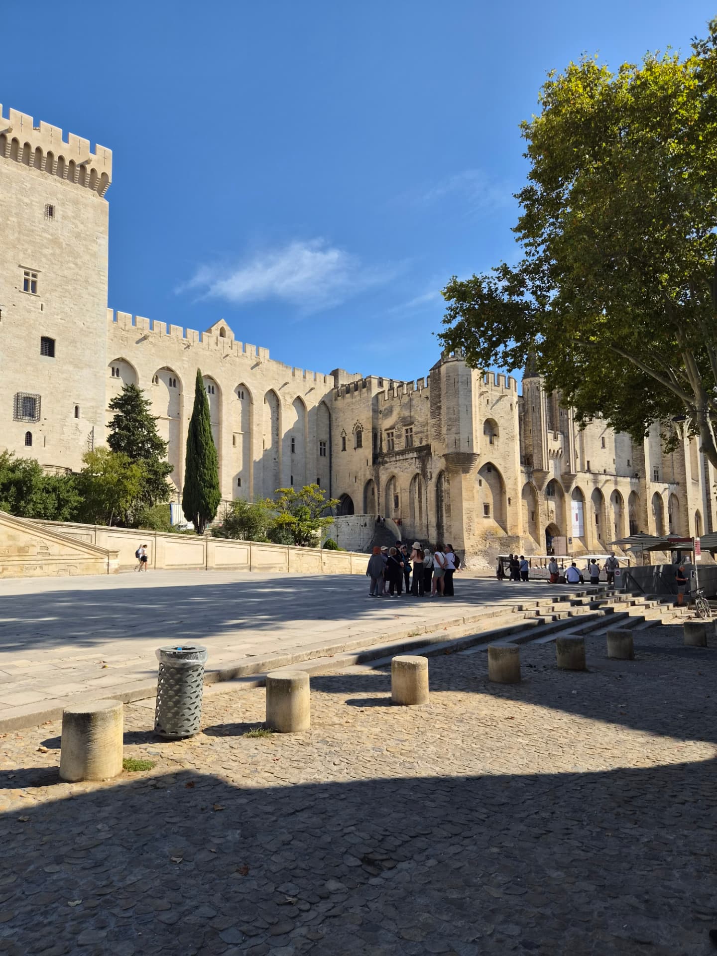 Het Palais des Papes in Avignon