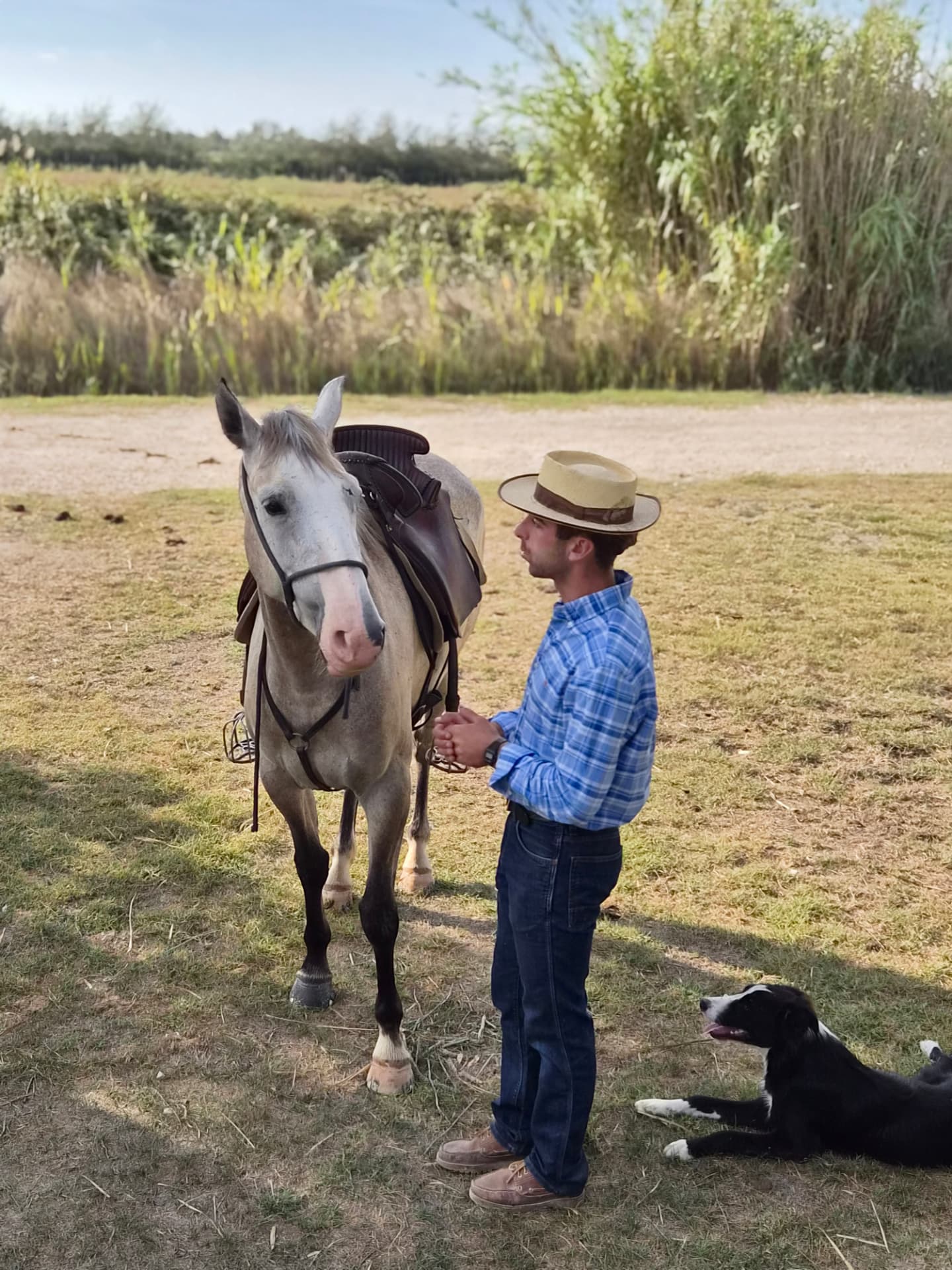 Wit Camargue-paard met gardian en hond