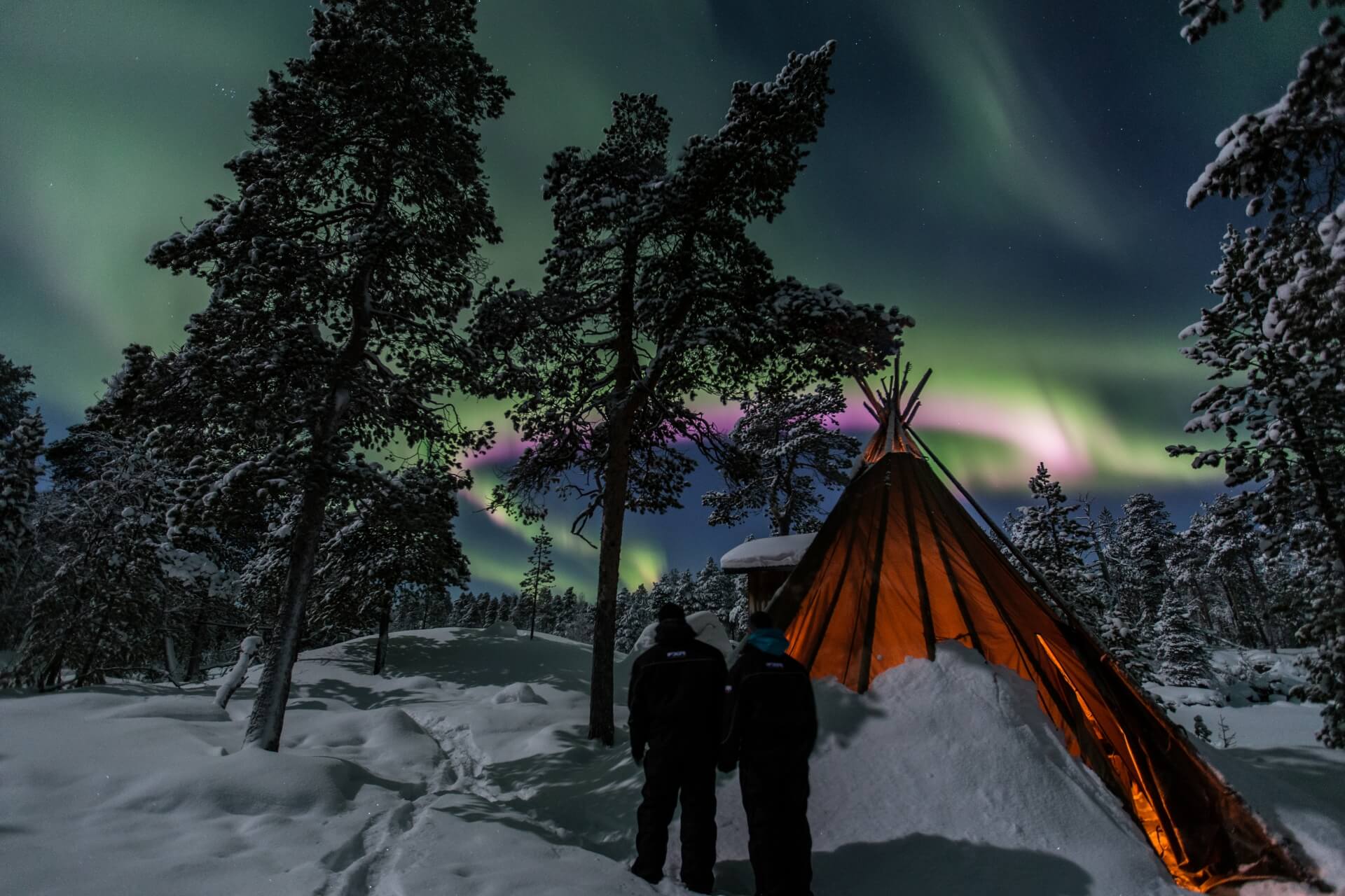 Nederlandstalig begeleide groepsreis Fins Lapland: noorderlicht boven een besneeuwd bos en een luxe lodge