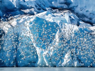 10_Monacobreen_026-