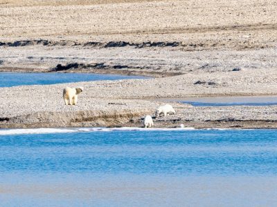 12_Palanderbukta_005-
