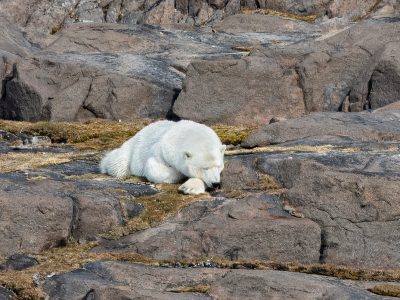 13_Alkefjellet_009-