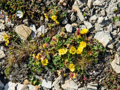 15_Binnebukta_008-