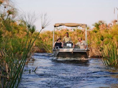 1700163221_Okavango-Delta_Xugana-Motorboat-Safari-2023-6-scaled