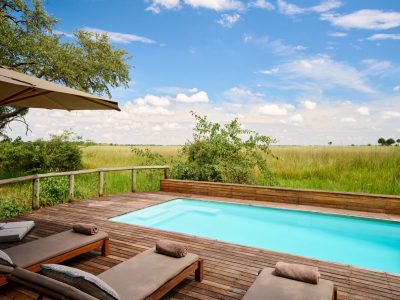 Moremi_Pool_2872-scaled
