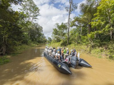 Zodiac cruise, in the jungle, Boca dos Botos, Brazil, Amazon